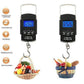 Digital Hanging Weight Scale with Hook